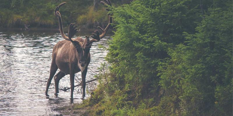 揭秘福建翔丰：如何以精密运输配送网络，成为宁德时代等巨头的供应链核心伙伴