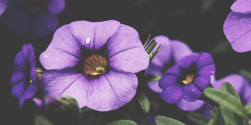 破局成本之困：福建翔丰如何以供应链韧性驾驭原材料价格波动