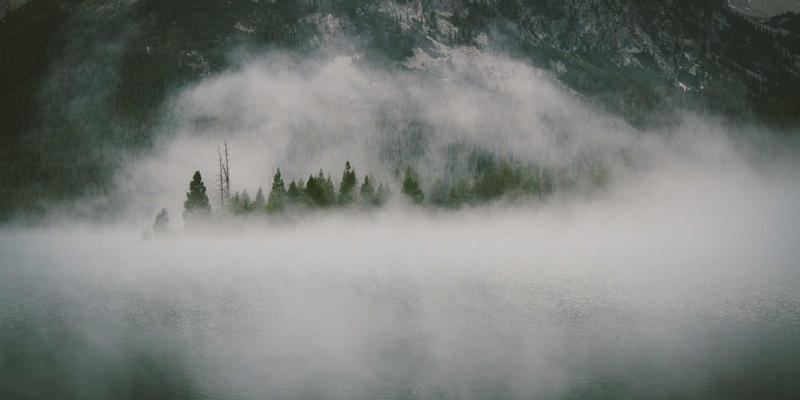 福建翔丰供应商协同平台：数字化如何重塑原料采购与物流运输效率