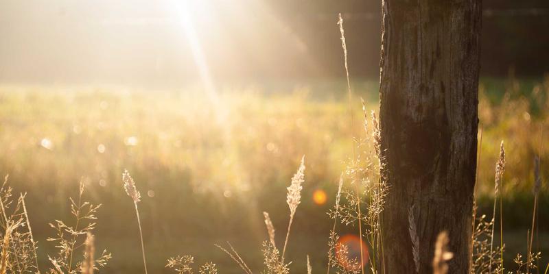 福建翔丰硅碳复合负极材料：产业化破局与供应链协同下的市场新机遇